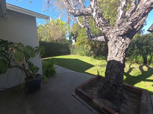 Building Photo - Mid-town Ventura 3 Bedroom 2 bath single level home