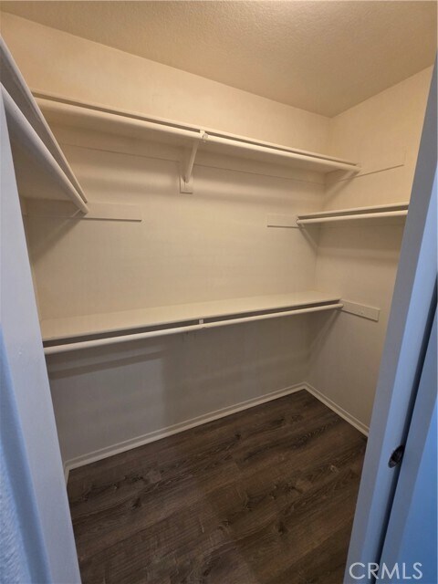 Building Photo - 31939 Monique Cir