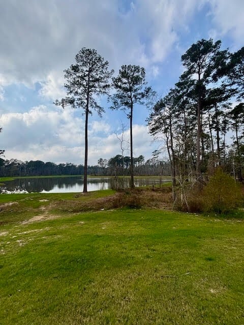 Building Photo - 14910 Slough View Ct