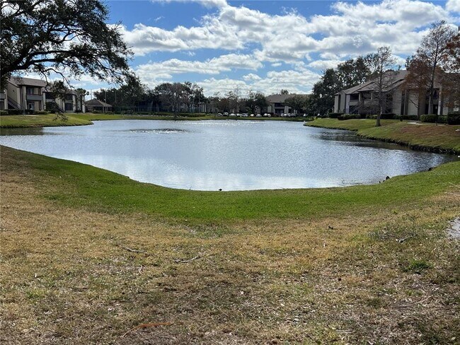 Building Photo - 10265 Gandy Blvd N