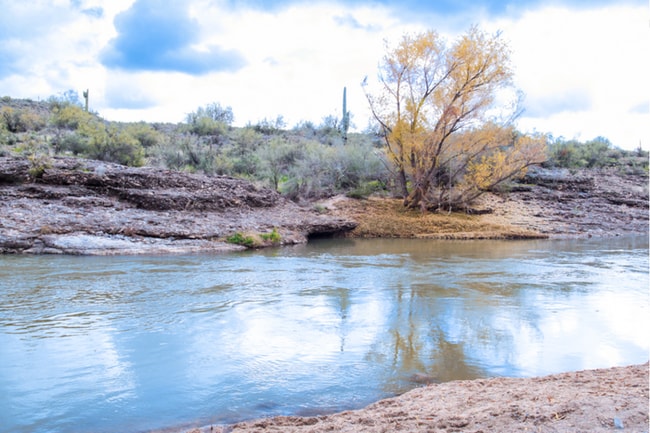 Building Photo - 3Bed/2Bath Home in Rio Verde/Desert Views! Ready for Immediate Move-In!