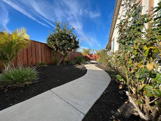 Building Photo - Gorgeous 4 Bedroom with Backyard Oasis wit...