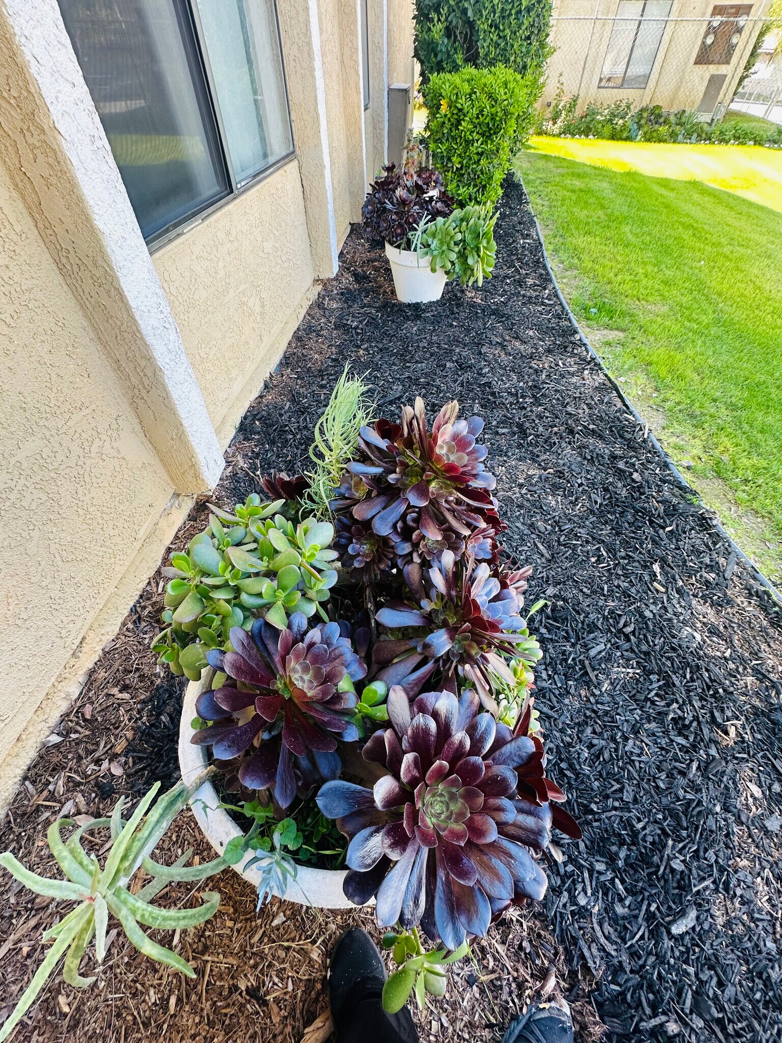 Building Photo - 6005 Hill Dale Ct