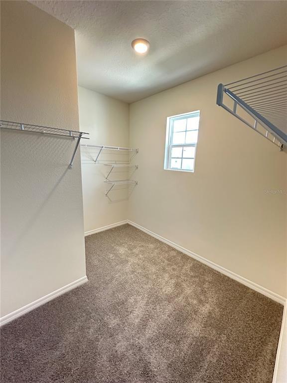 Building Photo - 1169 Cascades Ave