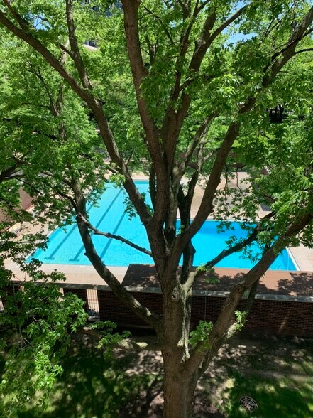 Swimming Pool - 2901 S Michigan Ave