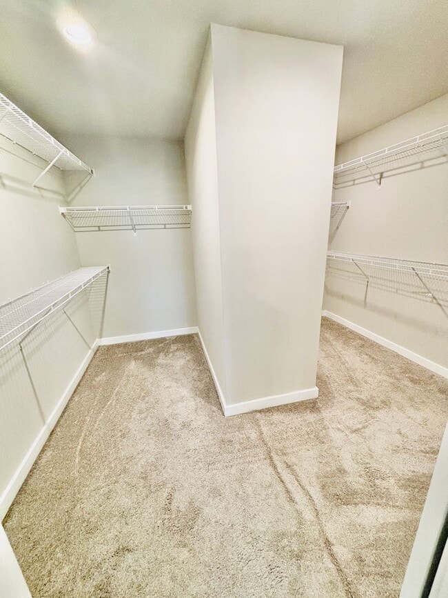 Building Photo - Immaculate Home