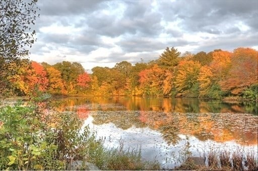 Building Photo - 4 Forge Pond