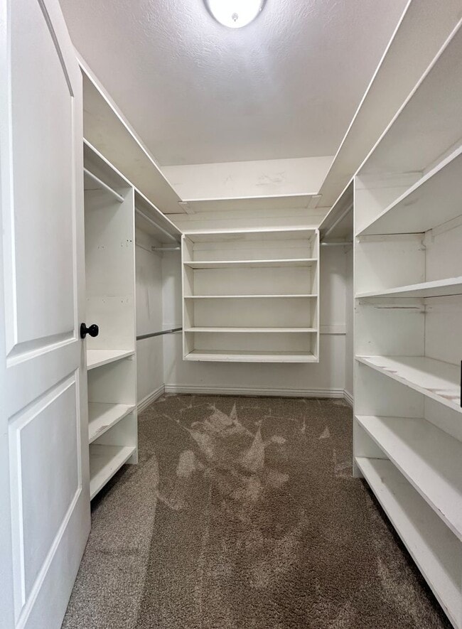 Building Photo - Stunning 6 Bed / 3 Bath | Great Location | Expansive Living Space