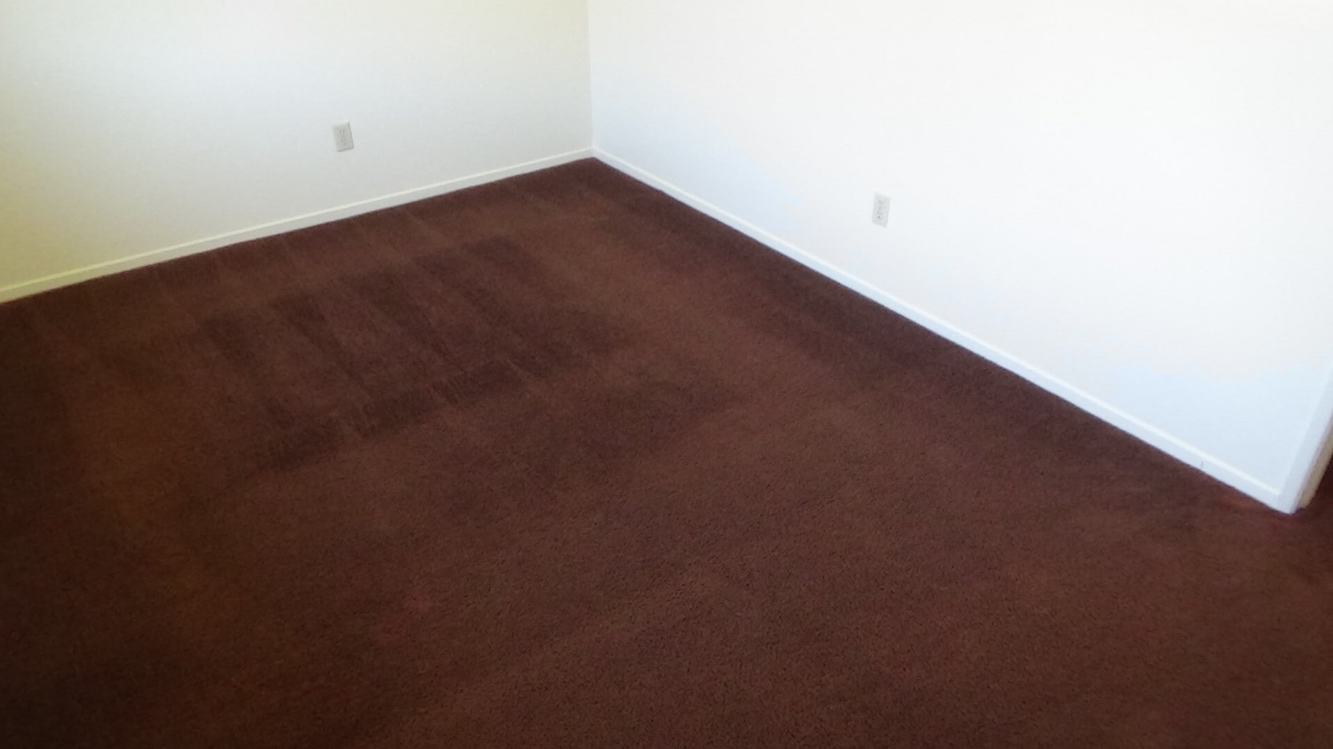 Bedroom 1 - 721 Summerwood Ln