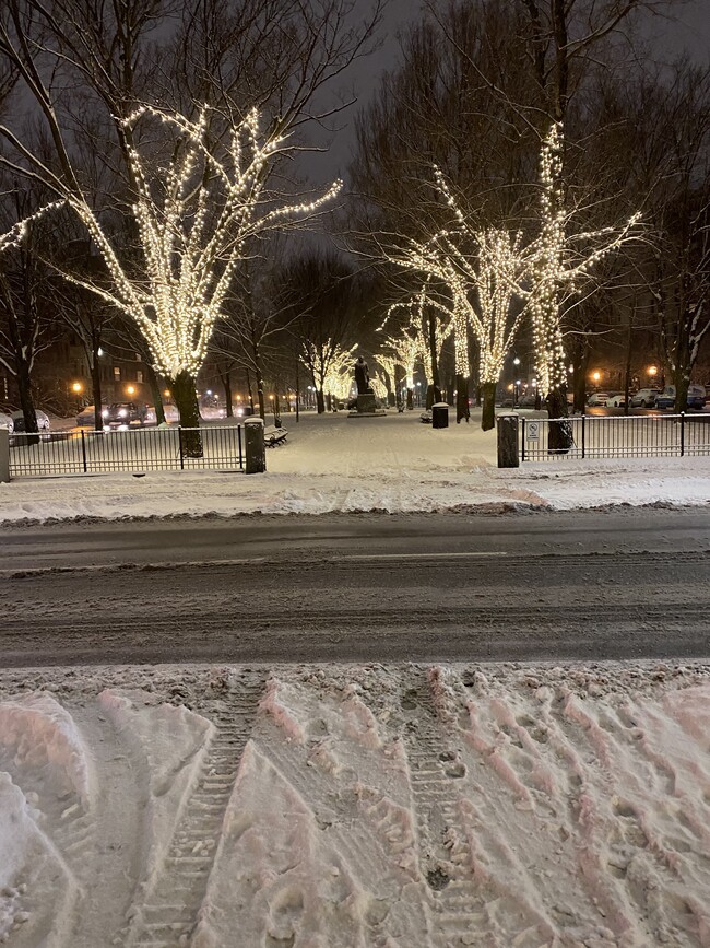 neighborhood park--Commonwealth Mall - 483 Beacon St