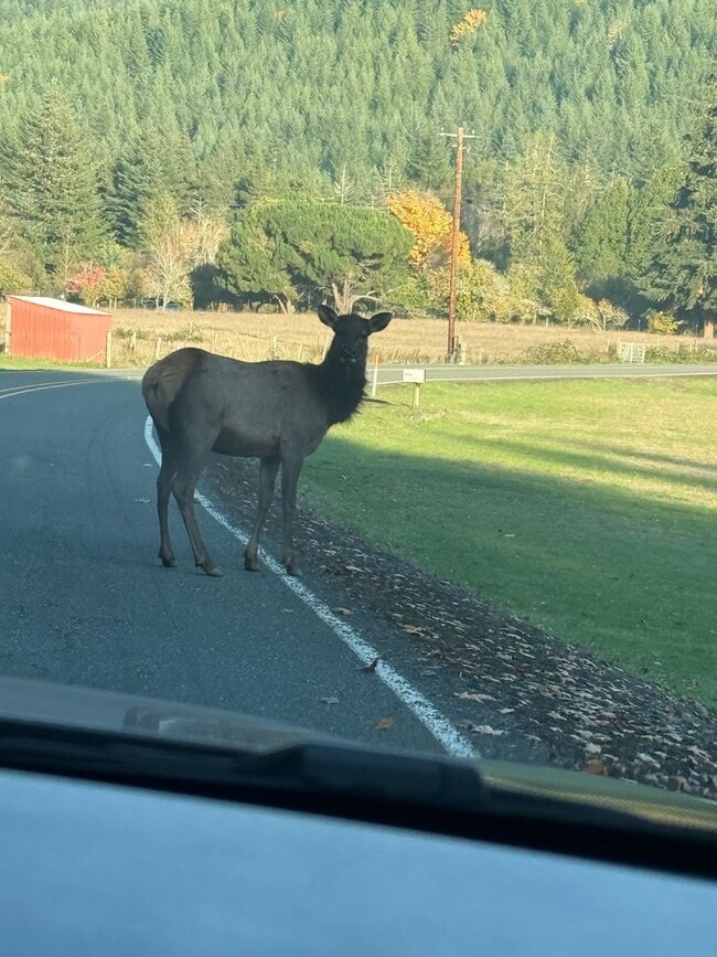Building Photo - 15144 Sitkum Ln