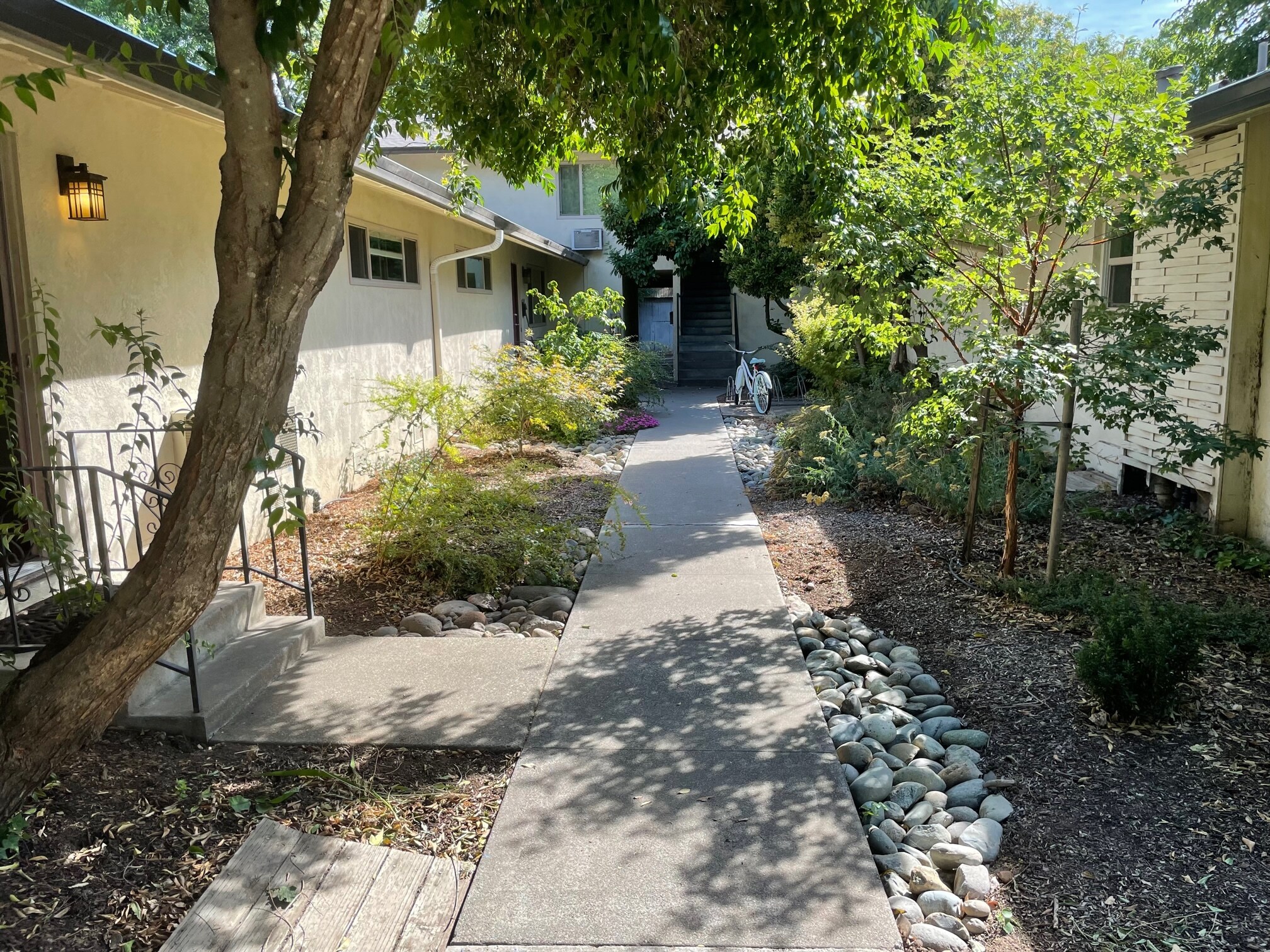 Courtyard sidewalk - 404 Oak Street