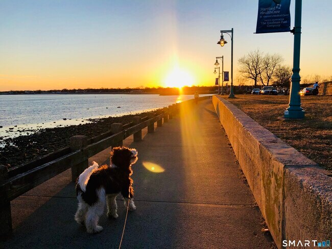 Building Photo - 34 Hanford Ave