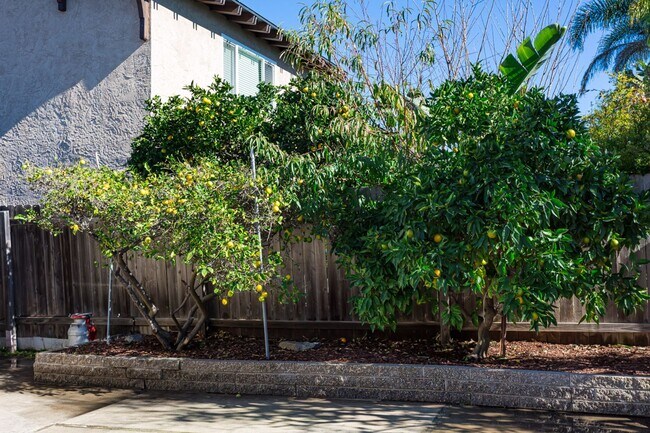 Building Photo - Newly updated Single-Story in Clairemont