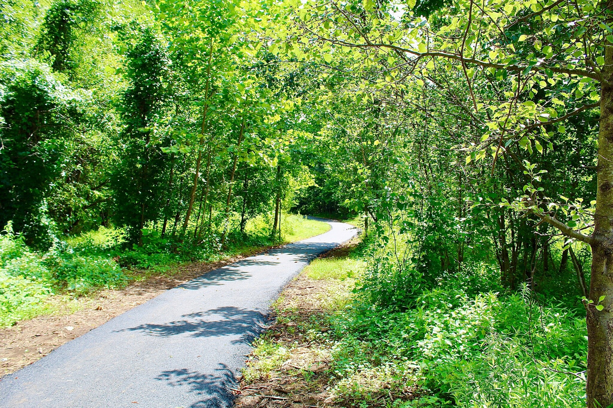 Walking Path - 19533 Sol Pl