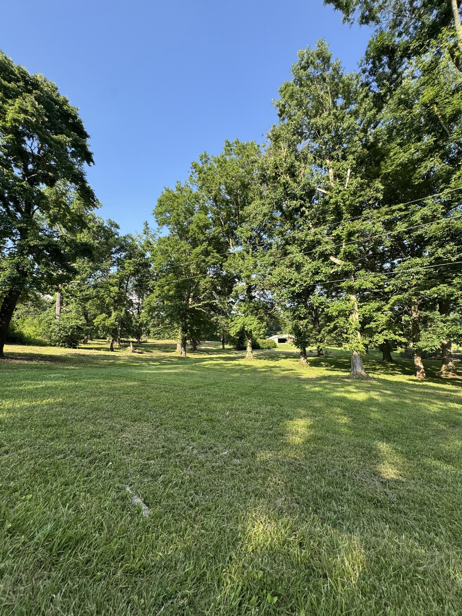 Surrounded by pastures & Trees! - 363 Shannon Dr
