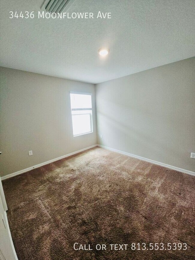 Building Photo - 34436 Moonflower Ave