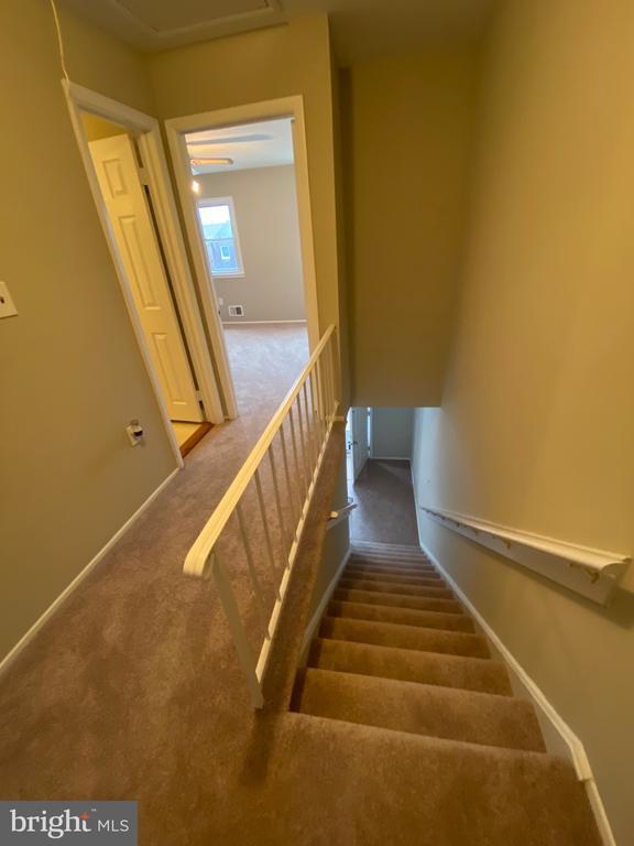 Building Photo - 3484 Beale Ct