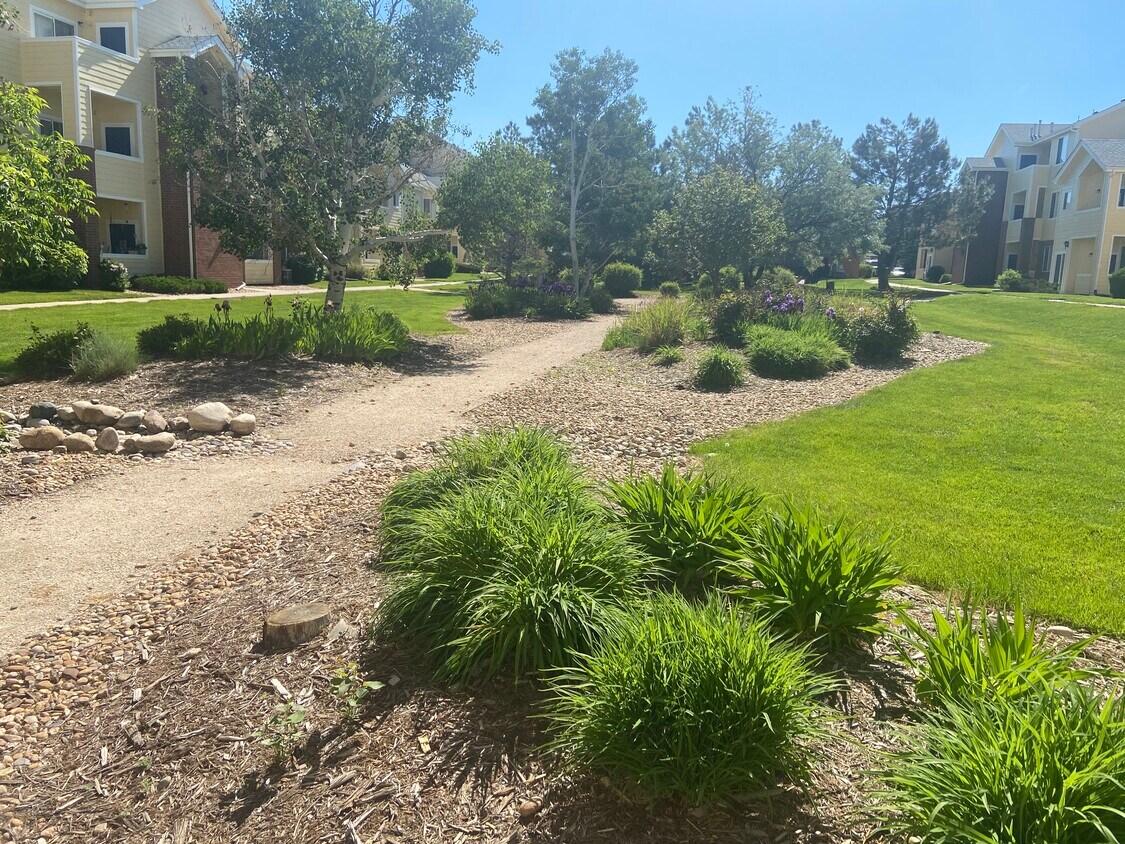 creekstone apartments greeley co apartment finder