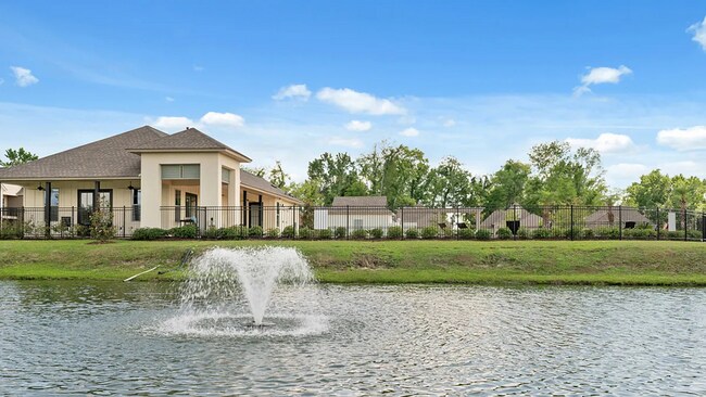 Building Photo - 1009 Renova Dr