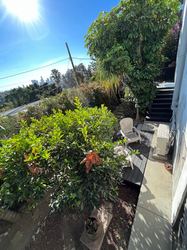 private outdoor space - 934 Micheltorena St