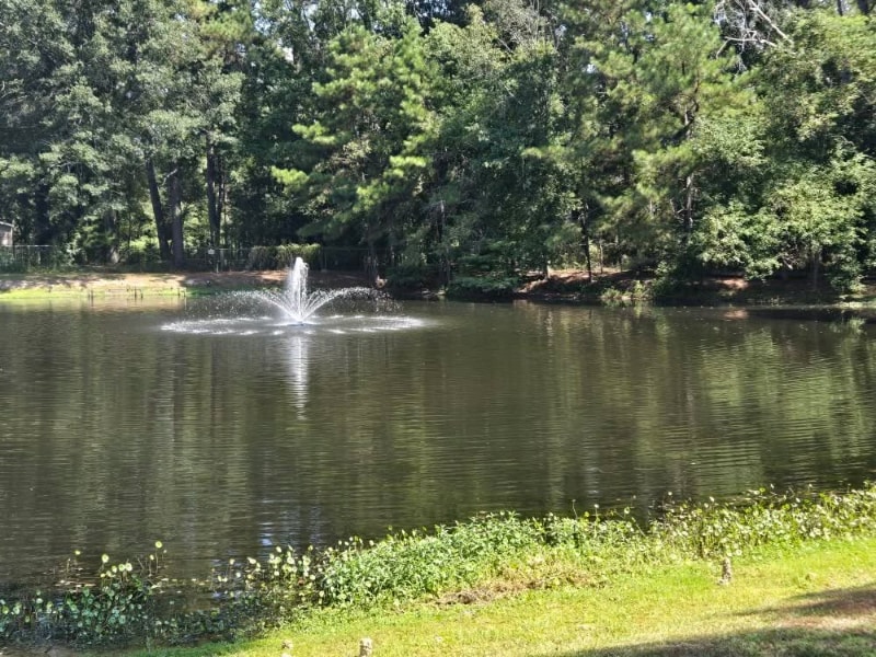 Building Photo - 13124 Herring Dr