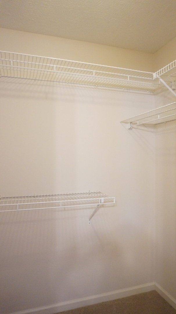 Building Photo - 508 Georgetown Cir