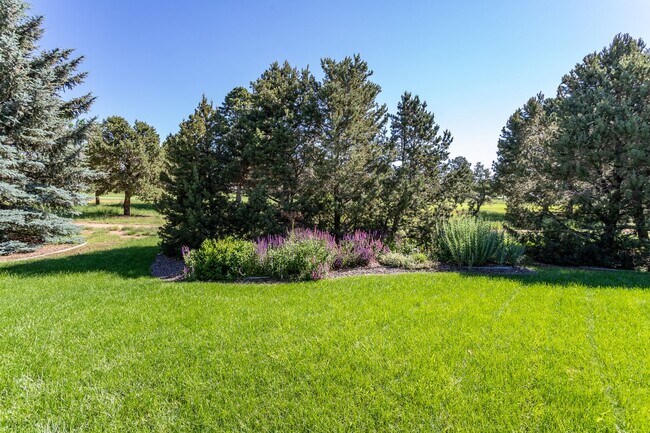 Building Photo - Ranch Style Home Located inside Kissing Camels!