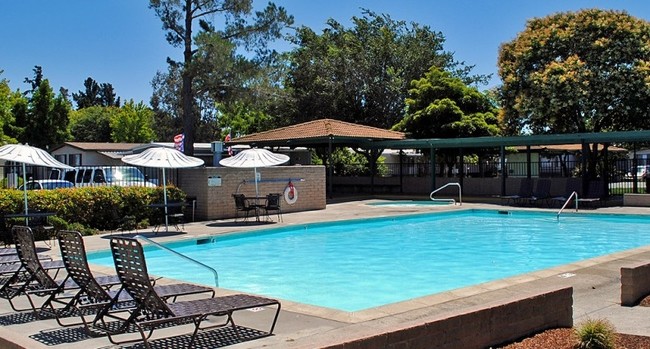 Pool - Westwinds