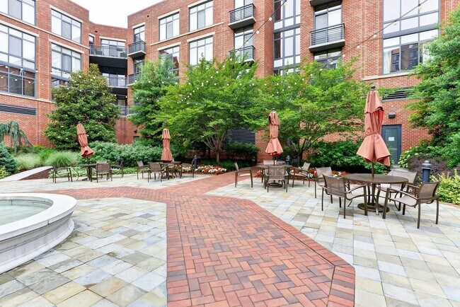 Building Photo - Gorgeous Light Filled Spacious Studio Blocks to King St Metro