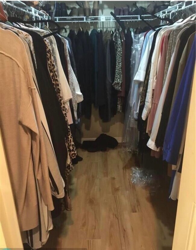 Building Photo - 10875 Lake Front Pl