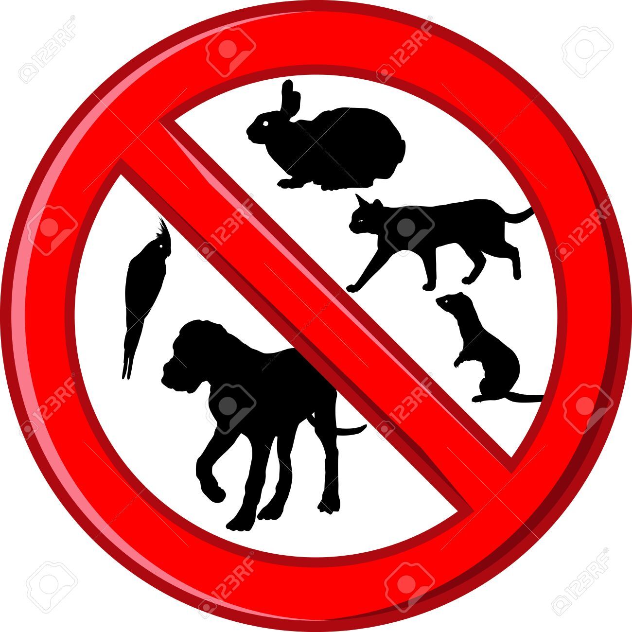 No critters ( owner allergies ) - 406 E Beacon Ave
