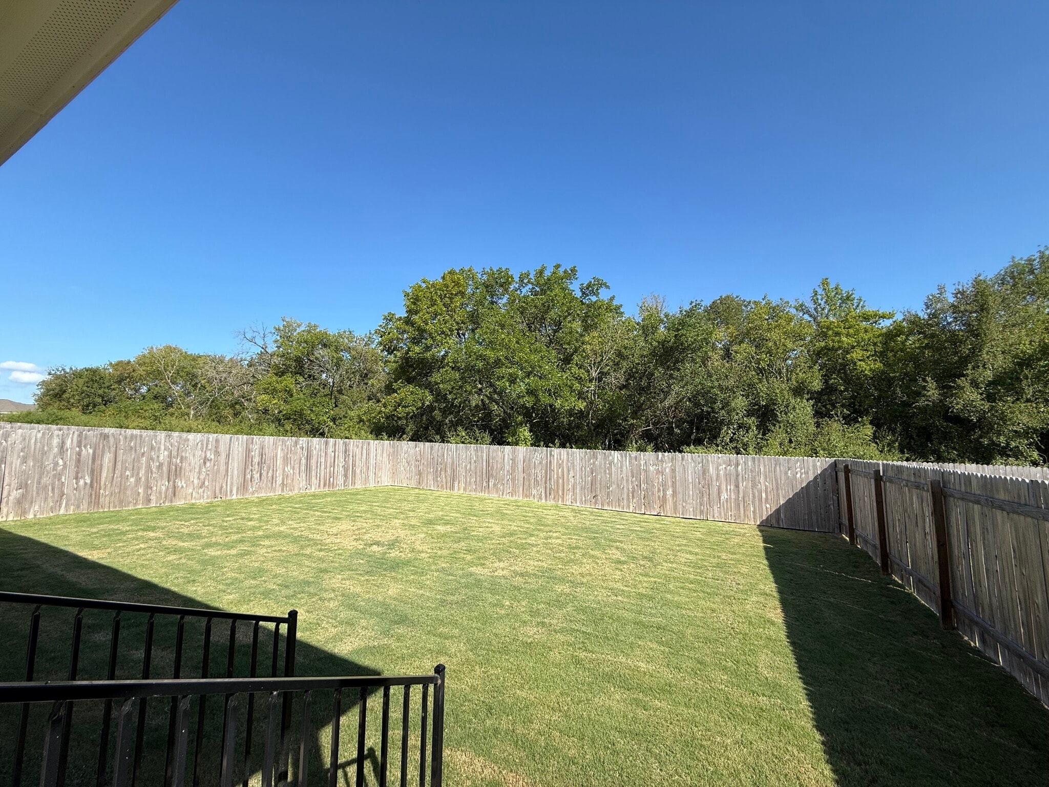 Backyard - 1102 Treeta Trl