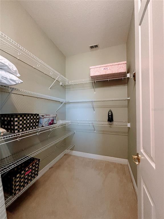 Building Photo - 113 Tivoli Trace Ct