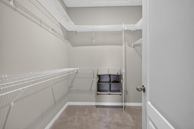 Building Photo - 6081 Monterey Cypress Trl