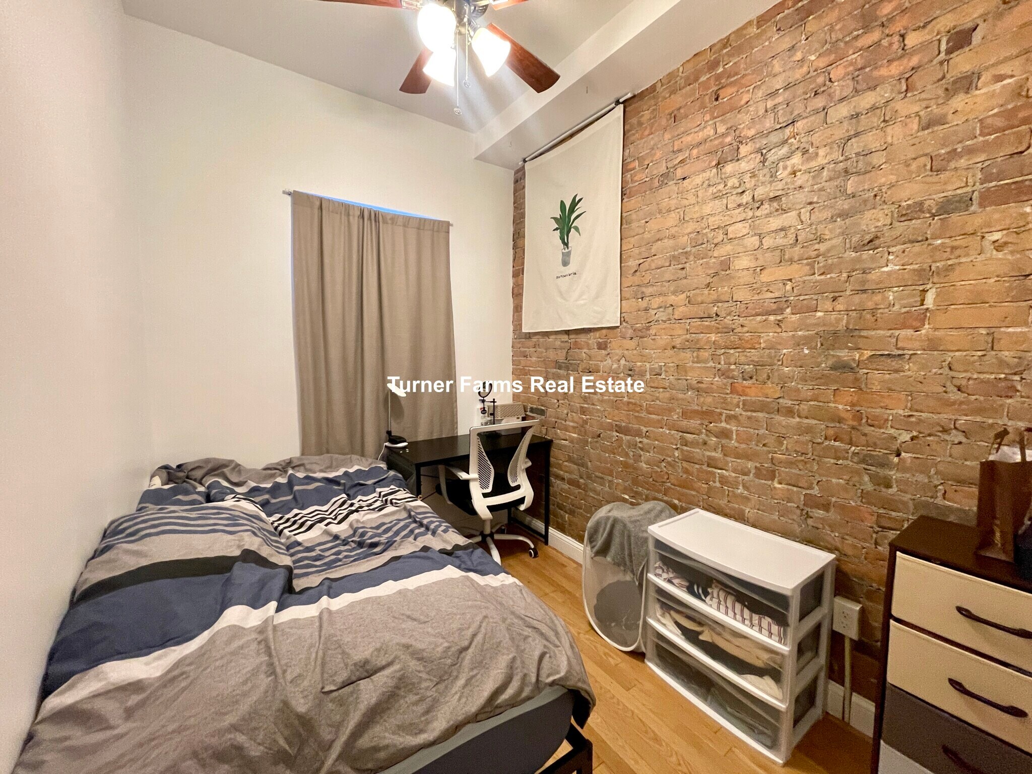 Building Photo - 243 Northampton St