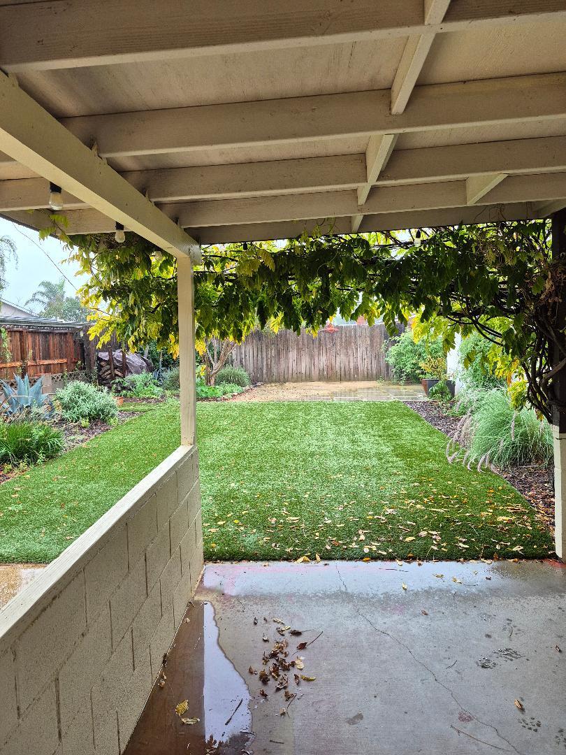 Backyard - 334 Calor Dr