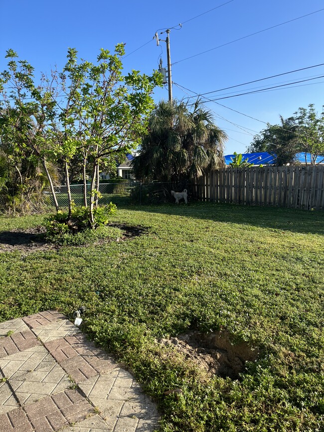 Fully fenced backyard for the pups. - 247 SE Santa Barbara Pl