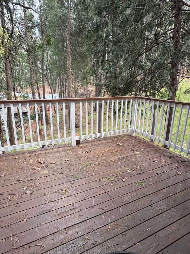 Building Photo - Pioneer Home