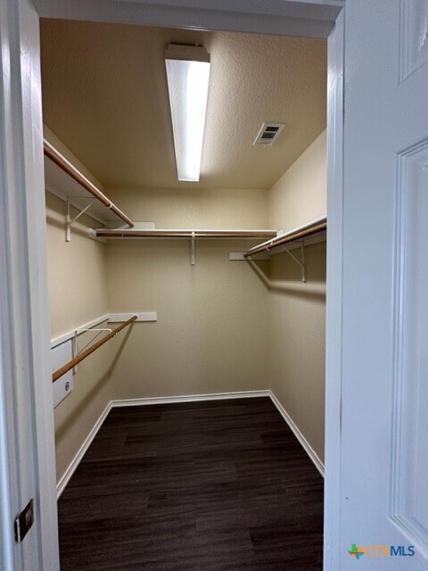 Building Photo - 221 Roadrunner Ave