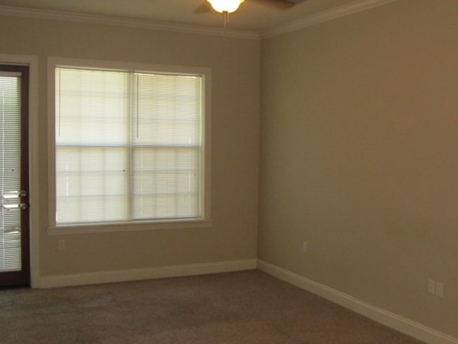 Building Photo - Midtown Tallahassee Townhome