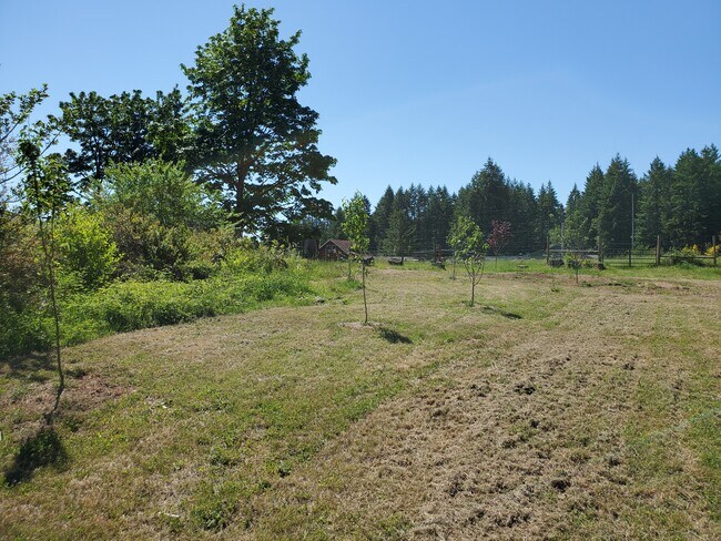 Front orchard was planted 3 years ago, it includes 6 varieties of apples, 3 pears, 2 plum, and a fig - 11839 Glenwood Rd
