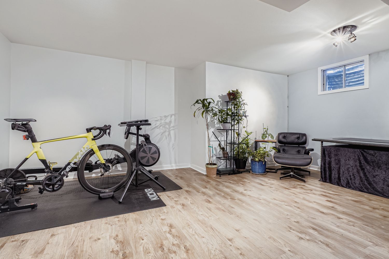 Basement - 382 Gladiola St