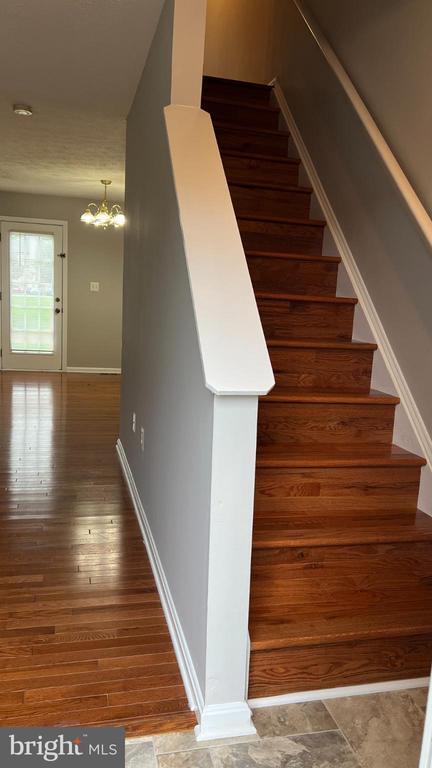 Building Photo - 133 Equestrian Dr
