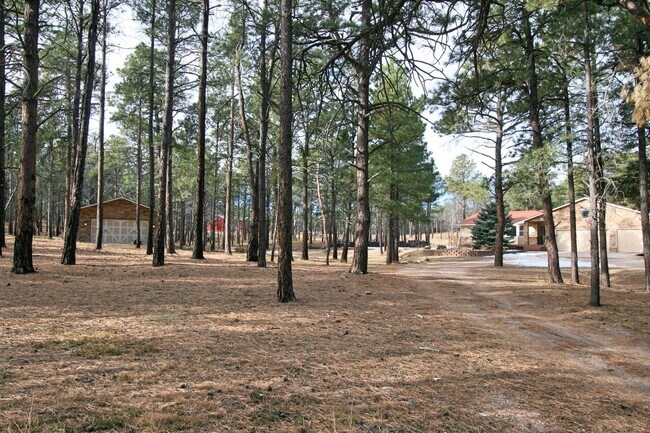 Building Photo - 12240 Lazy H Way