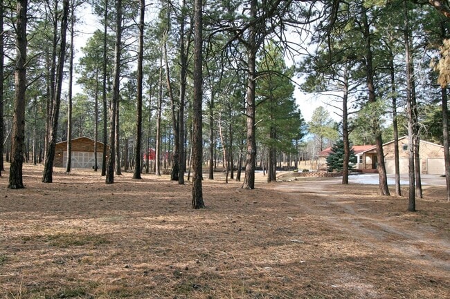 Building Photo - Beautifully Updated Black Forest Rancher on 5 Acres!