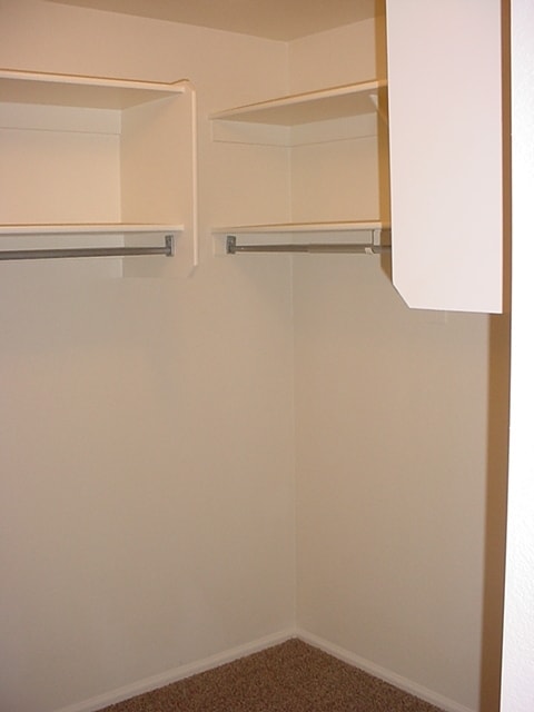 Building Photo - Super clean Rancho El Dorado jewel with new carpet and fresh paint.