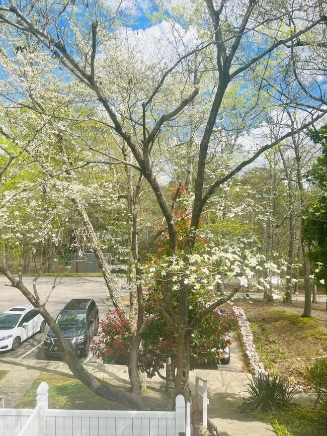 Building Photo - 2BR Townhome in N Raleigh