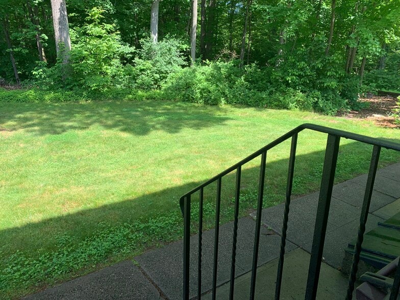 View from back porch - 1308 Slater Rd