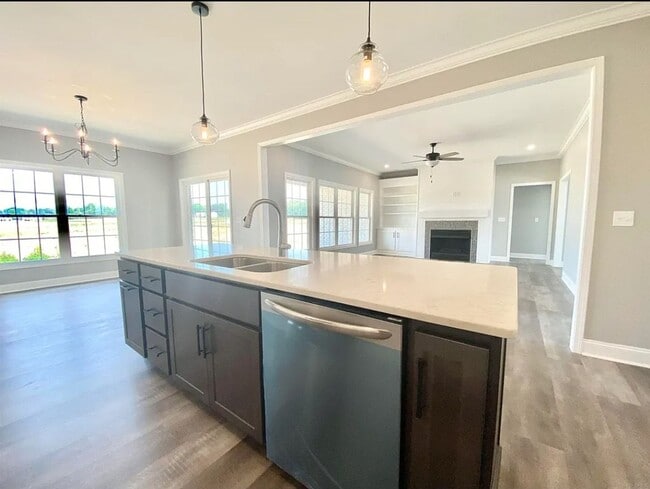 Building Photo - 4 Bed 2 bath with 3 car attached garage